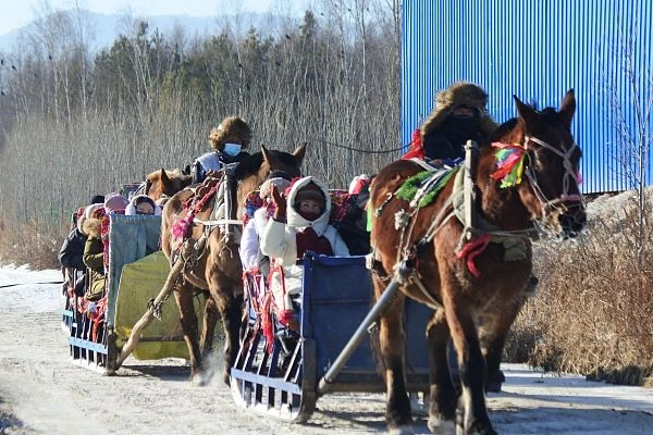 Horse-Drawn Sleigh Ride