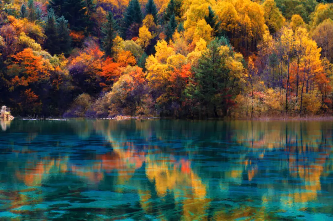 Autumn Jiuzhaigou