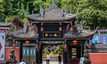 Chengdu Day Tour: Panda Valley, Zhongshuge Bookstore & Dujiangyan