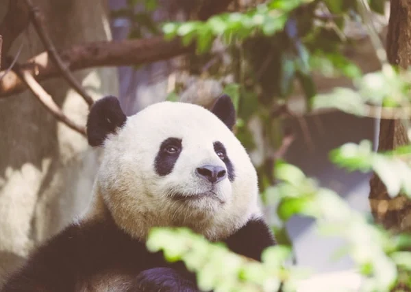 China Tour Destination