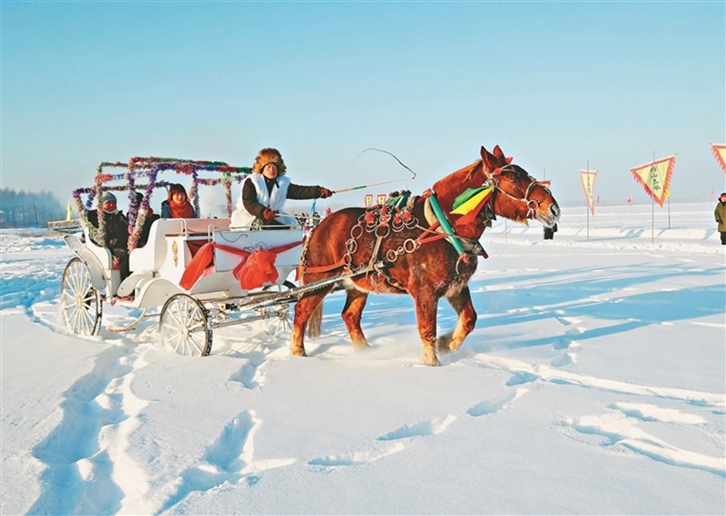 Horse-Drawn Sleigh Ride
