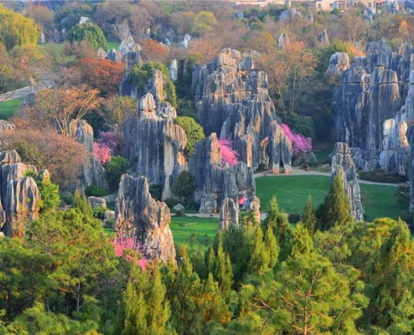 Naigu Stone Forest