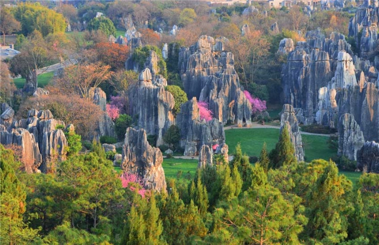 Naigu Stone Forest