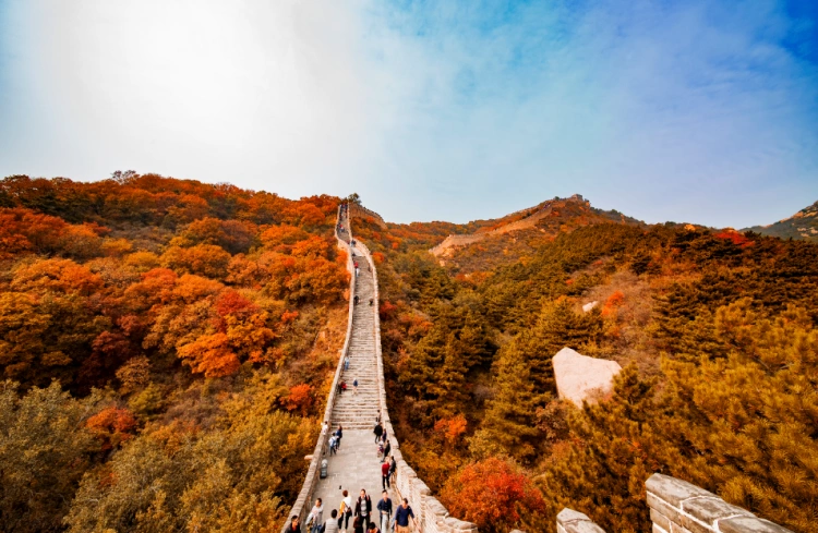 Beijing Autumn Color