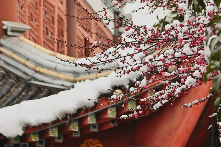 Best Places to Travel in China in February (2026 Updated)