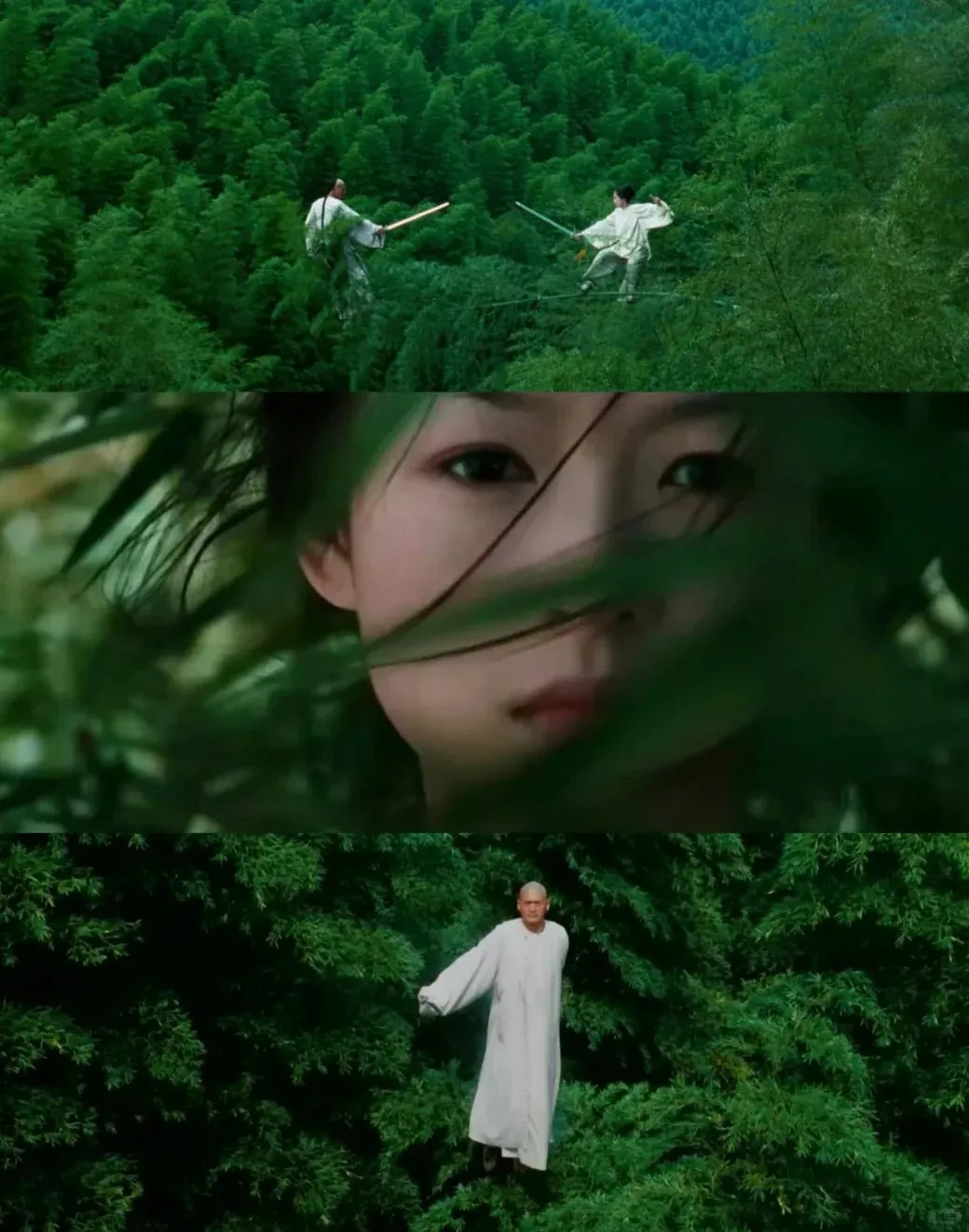 Crouching Tiger, Hidden Dragon