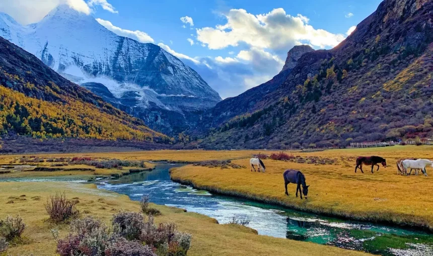Daocheng Yading Scenic Area