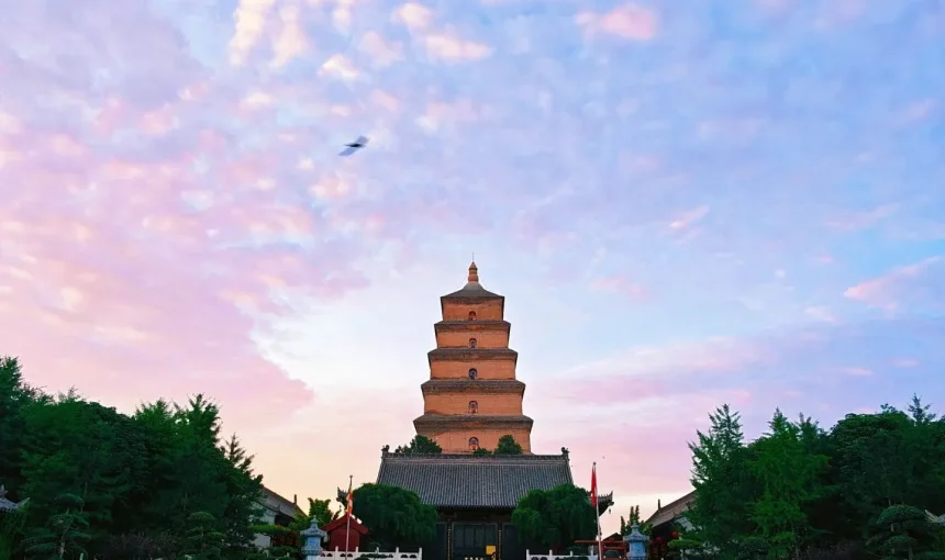 Giant Wild Goose Pagoda & Datang Furong Garden