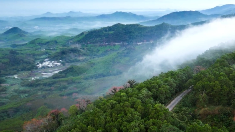 Hainan Island Rainforest Trekking