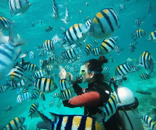 Hainan Island Wuzhizhou