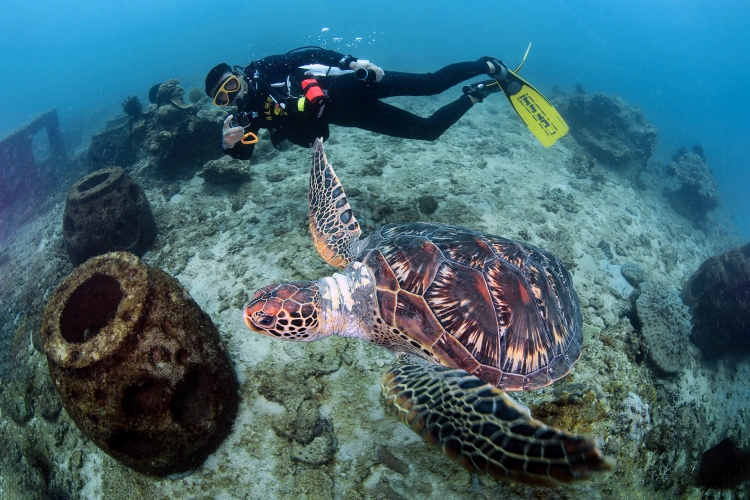 Hainan Island Wuzhizhou