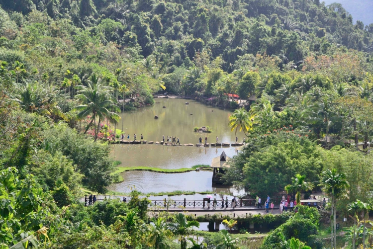 Hainan Island Yanoda Rainforest