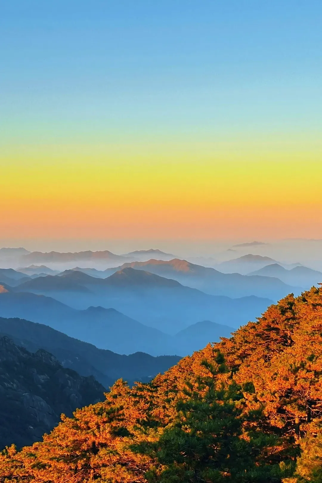 Huangshan Scenic Area