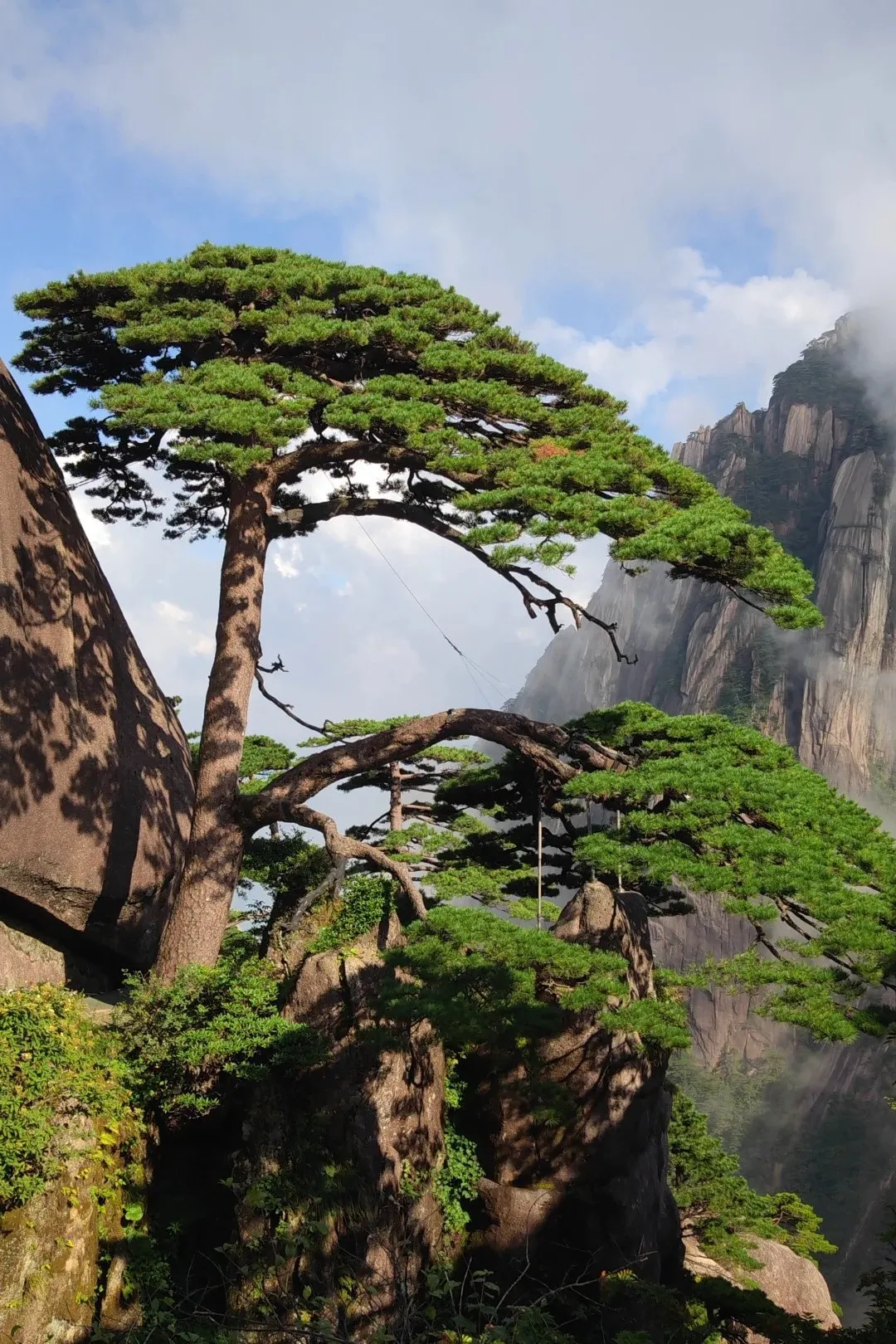 Huangshan Scenic Area