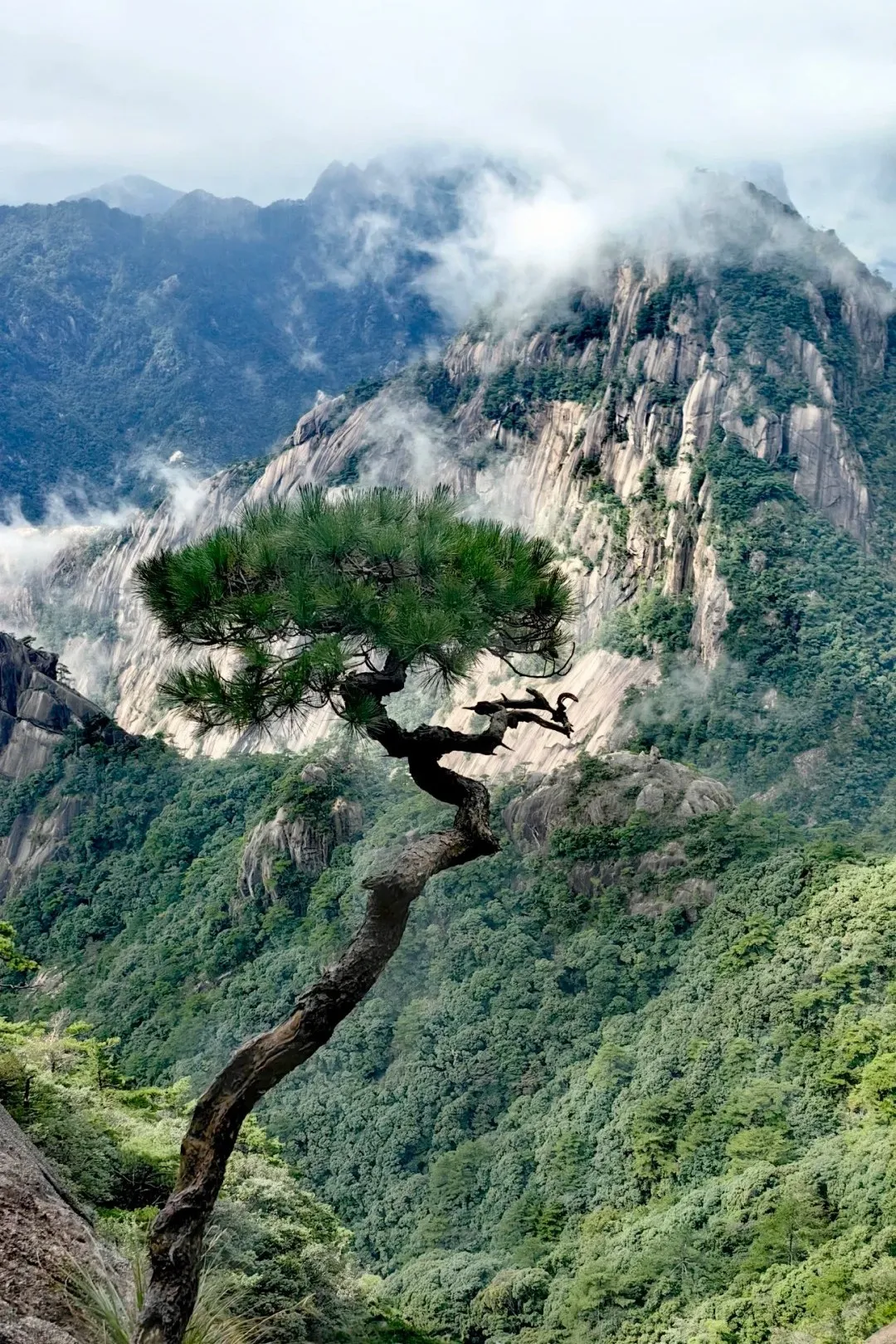Huangshan Scenic Area