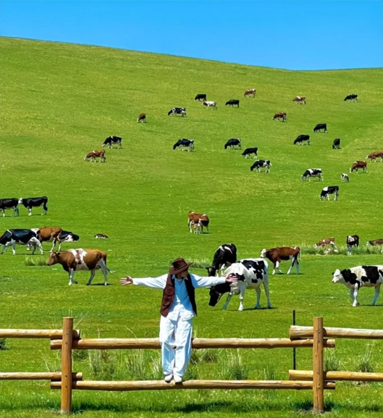 Inner Mongolia Grasslands