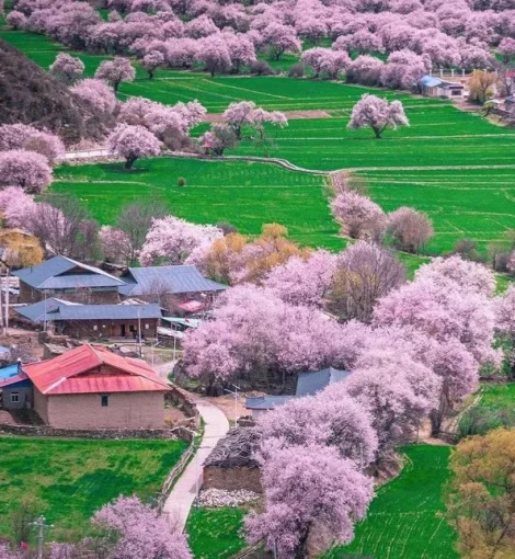 China Summer Tours 2026