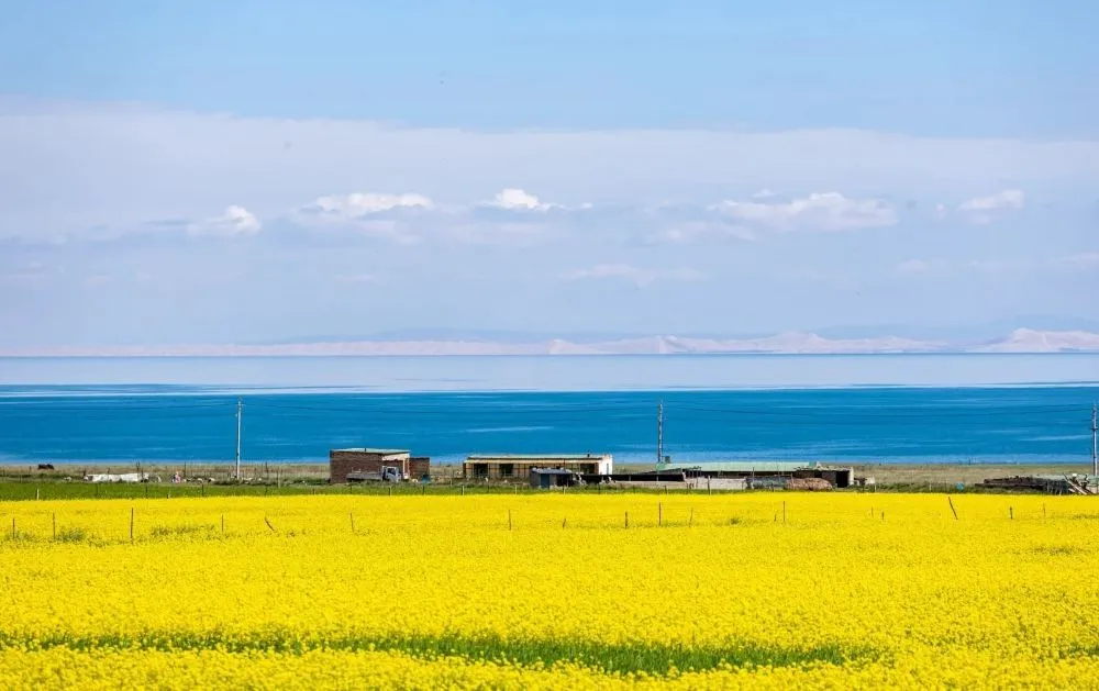 Qinghai Lake