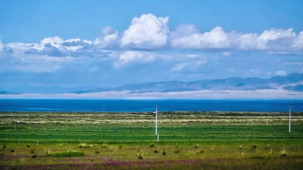 Qinghai Lake