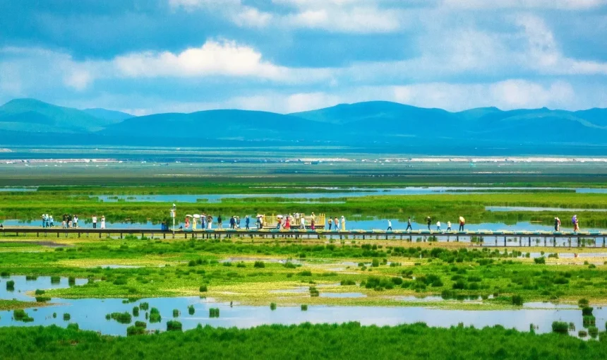 China Spring Tours 2026