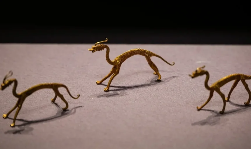 Shaanxi History Museum