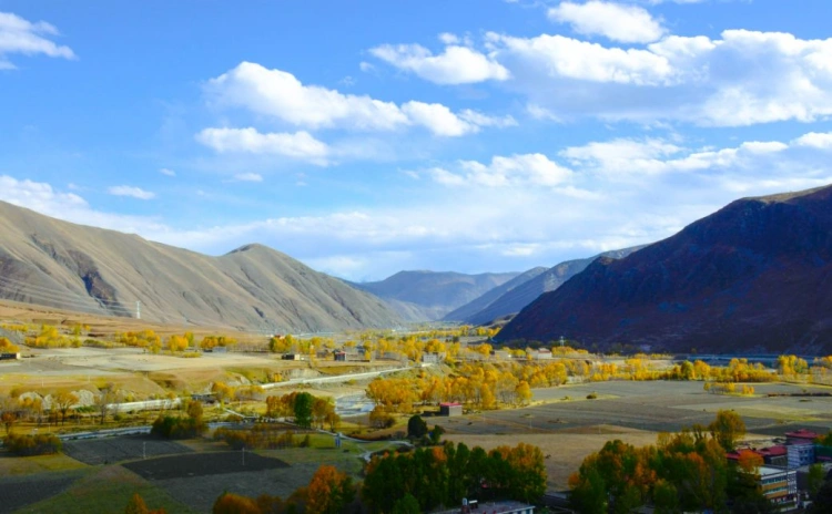 Sichuan Xinduqiao Autumn Color