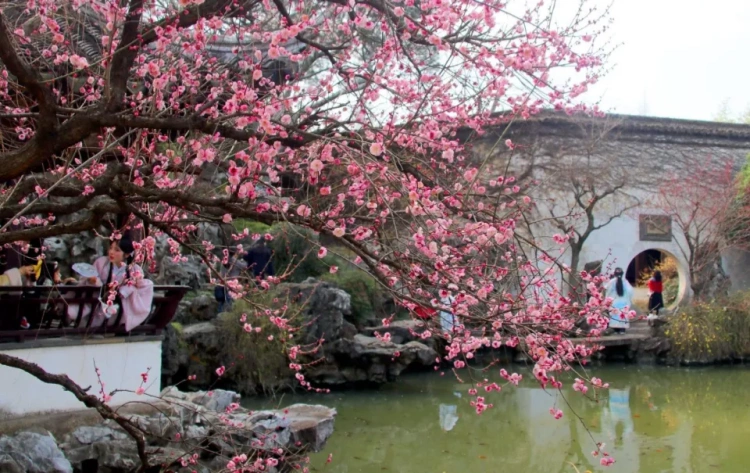 Suzhou Gardens