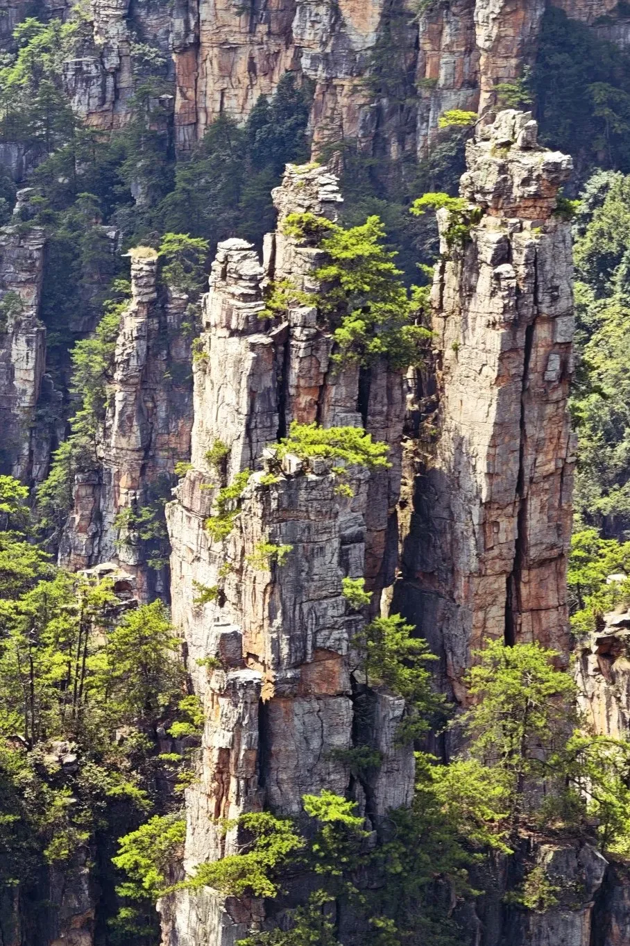 Tianzi Mountain Viewpoints