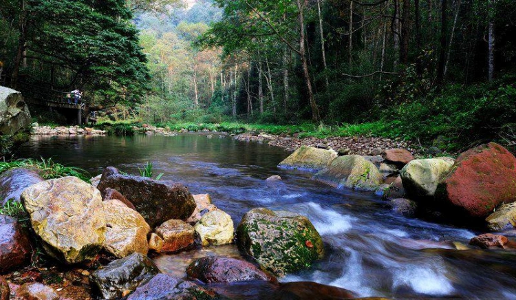 Zhangjiajie Golden Whip Stream