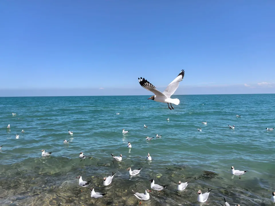 qinghai lake